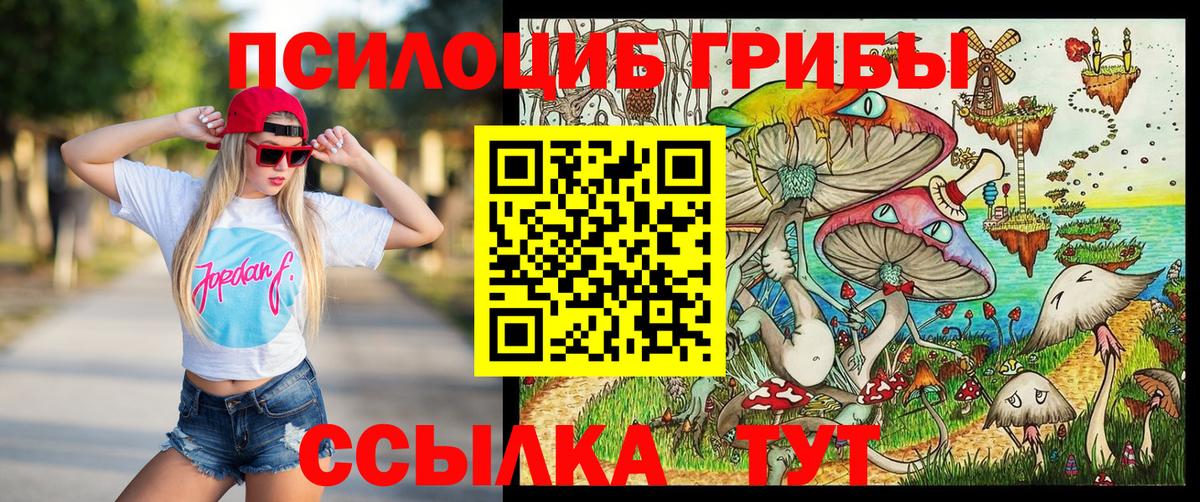 Десногорск  Псилоцибиновые грибы ЛСД  Вход с VPN 