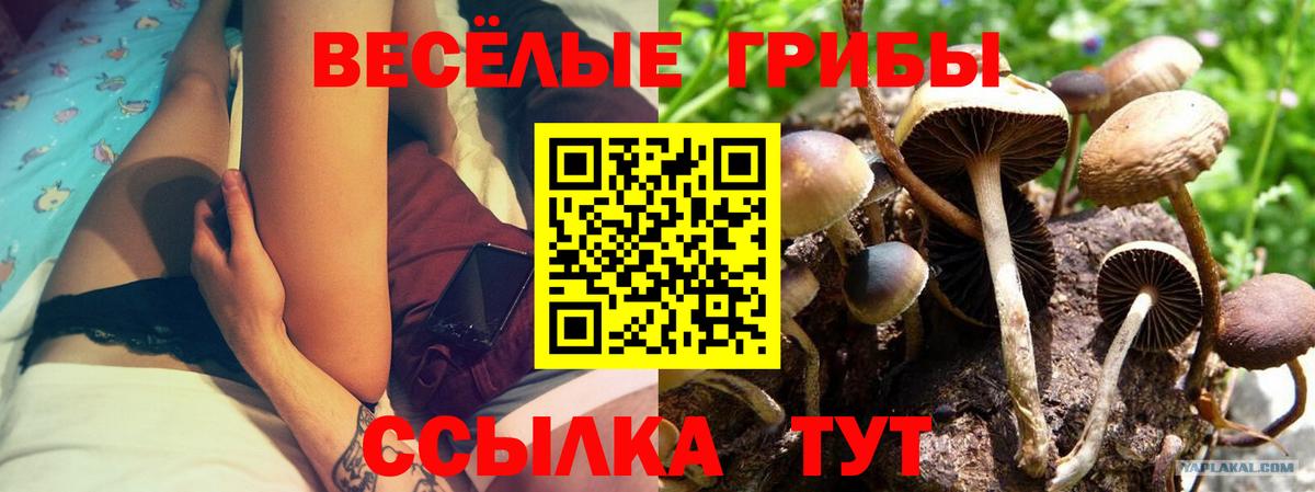 Псилоцибиновые грибы ЛСД Десногорск